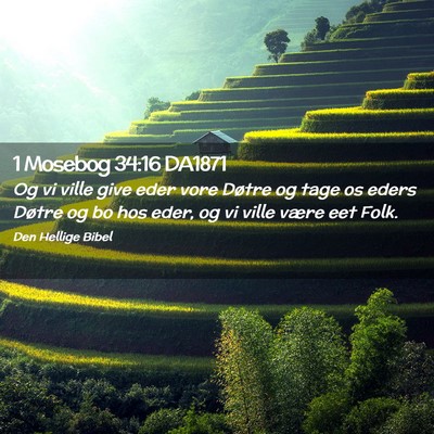 Picture 02 - 1 Mosebog 34:16 DA1871 - Og vi ville give eder vore Døtre og tage os - Bible Verse Picture
