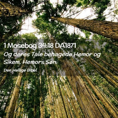 Picture 02 - 1 Mosebog 34:18 DA1871 - Og deres Tale behagede Hemor og Sikem, Hemors - Bible Verse Picture