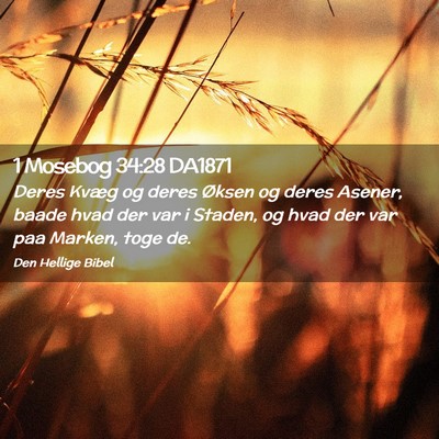 Picture 02 - 1 Mosebog 34:28 DA1871 - Deres Kvæg og deres Øksen og deres Asener, - Bible Verse Picture