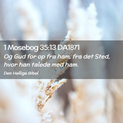 Picture 02 - 1 Mosebog 35:13 DA1871 - Og Gud for op fra ham, fra det Sted, hvor han - Bible Verse Picture