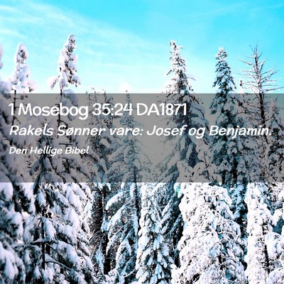 Picture 02 - 1 Mosebog 35:24 DA1871 - Rakels Sønner vare: Josef og - Bible Verse Picture