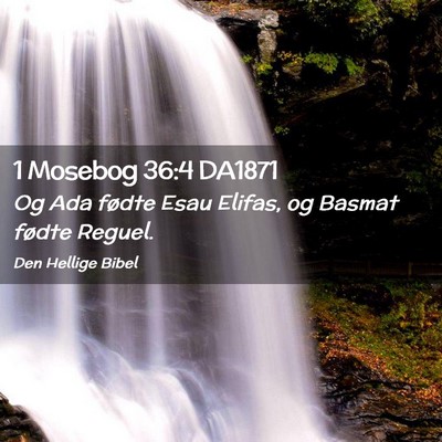Picture 02 - 1 Mosebog 36:4 DA1871 - Og Ada fødte Esau Elifas, og Basmat fødte - Bible Verse Picture