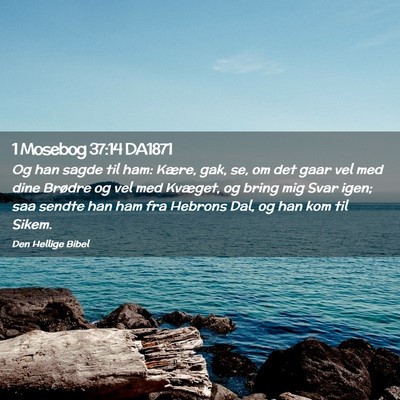 Picture 02 - 1 Mosebog 37:14 DA1871 - Og han sagde til ham: Kære, gak, se, om det gaar - Bible Verse Picture