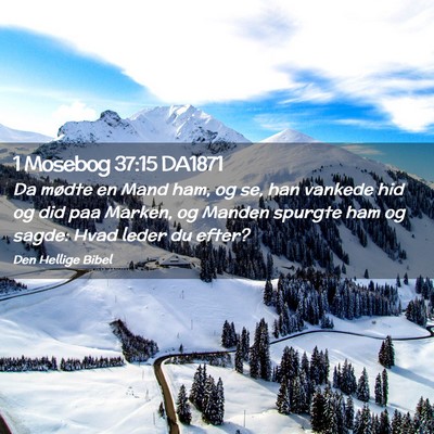 Picture 02 - 1 Mosebog 37:15 DA1871 - Da mødte en Mand ham, og se, han vankede hid og - Bible Verse Picture