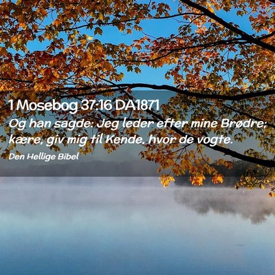 Picture 02 - 1 Mosebog 37:16 DA1871 - Og han sagde: Jeg leder efter mine Brødre; - Bible Verse Picture