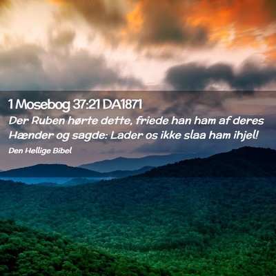 Picture 02 - 1 Mosebog 37:21 DA1871 - Der Ruben hørte dette, friede han ham af deres - Bible Verse Picture