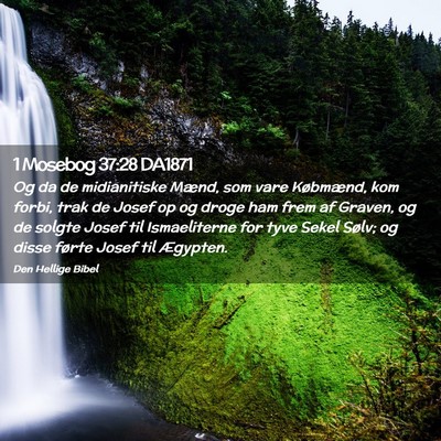 Picture 02 - 1 Mosebog 37:28 DA1871 - Og da de midianitiske Mænd, som vare Købmænd, - Bible Verse Picture