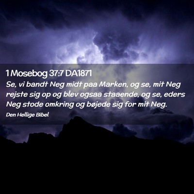 Picture 02 - 1 Mosebog 37:7 DA1871 - Se, vi bandt Neg midt paa Marken, og se, mit Neg - Bible Verse Picture