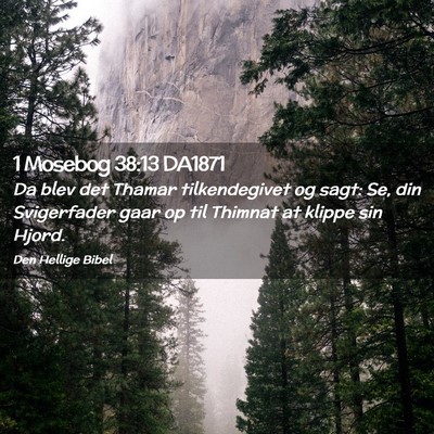 Picture 02 - 1 Mosebog 38:13 DA1871 - Da blev det Thamar tilkendegivet og sagt: Se, din - Bible Verse Picture