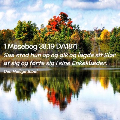 Picture 02 - 1 Mosebog 38:19 DA1871 - Saa stod hun op og gik og lagde sit Slør af sig - Bible Verse Picture