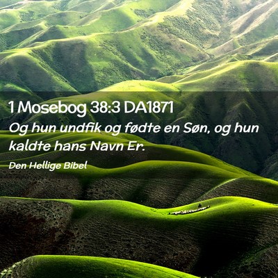Picture 02 - 1 Mosebog 38:3 DA1871 - Og hun undfik og fødte en Søn, og hun kaldte - Bible Verse Picture