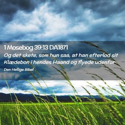 Picture 02 - 1 Mosebog 39:13 DA1871 - Og det skete, som hun saa, at han efterlod sit - Bible Verse Picture