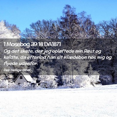 Picture 02 - 1 Mosebog 39:18 DA1871 - Og det skete, der jeg opløftede min Røst og - Bible Verse Picture