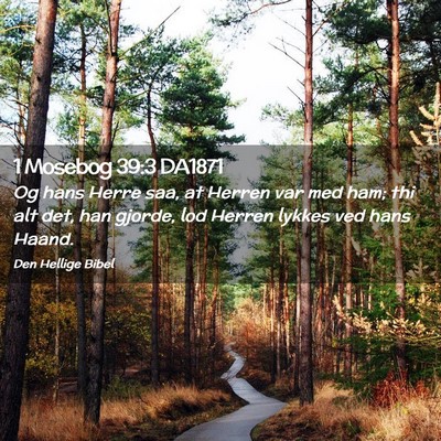 Picture 02 - 1 Mosebog 39:3 DA1871 - Og hans Herre saa, at Herren var med ham; thi alt - Bible Verse Picture