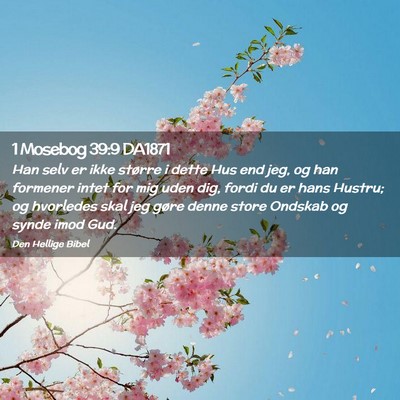 Picture 02 - 1 Mosebog 39:9 DA1871 - Han selv er ikke større i dette Hus end jeg, og - Bible Verse Picture