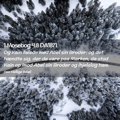 Picture 02 - 1 Mosebog 4:8 DA1871 - Og Kain talede med Abel sin Broder; og det - Bible Verse Picture