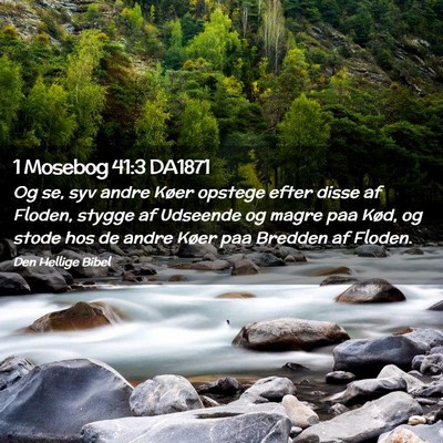 Picture 02 - 1 Mosebog 41:3 DA1871 - Og se, syv andre Køer opstege efter disse af - Bible Verse Picture