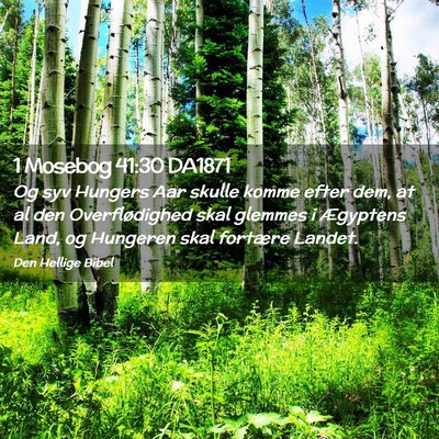 Picture 02 - 1 Mosebog 41:30 DA1871 - Og syv Hungers Aar skulle komme efter dem, at al - Bible Verse Picture