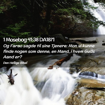 Picture 02 - 1 Mosebog 41:38 DA1871 - Og Farao sagde til sine Tjenere: Mon vi kunne - Bible Verse Picture