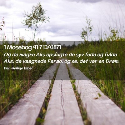 Picture 02 - 1 Mosebog 41:7 DA1871 - Og de magre Aks opslugte de syv fede og fulde - Bible Verse Picture