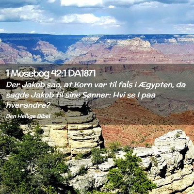 Picture 02 - 1 Mosebog 42:1 DA1871 - Der Jakob saa, at Korn var til fals i Ægypten, - Bible Verse Picture