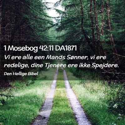 Picture 02 - 1 Mosebog 42:11 DA1871 - Vi ere alle een Mands Sønner, vi ere redelige, - Bible Verse Picture