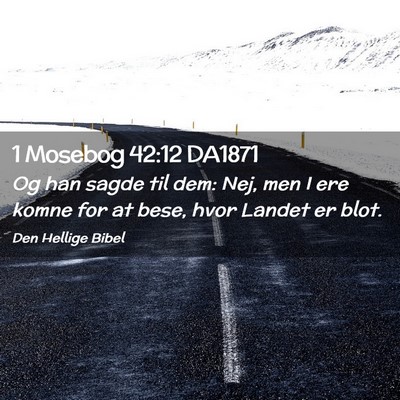 Picture 02 - 1 Mosebog 42:12 DA1871 - Og han sagde til dem: Nej, men I ere komne for at - Bible Verse Picture