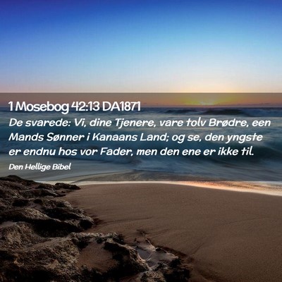 Picture 02 - 1 Mosebog 42:13 DA1871 - De svarede: Vi, dine Tjenere, vare tolv Brødre, - Bible Verse Picture