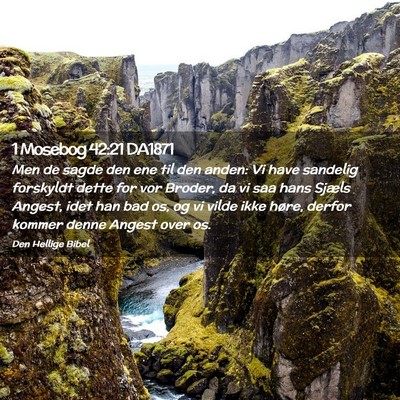 Picture 02 - 1 Mosebog 42:21 DA1871 - Men de sagde den ene til den anden: Vi have - Bible Verse Picture