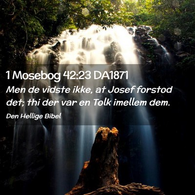 Picture 02 - 1 Mosebog 42:23 DA1871 - Men de vidste ikke, at Josef forstod det; thi der - Bible Verse Picture
