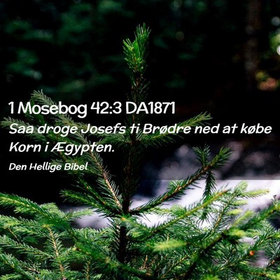 Picture 02 - 1 Mosebog 42:3 DA1871 - Saa droge Josefs ti Brødre ned at købe Korn i - Bible Verse Picture