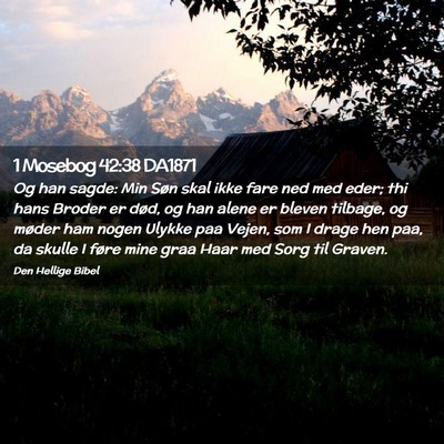 Picture 02 - 1 Mosebog 42:38 DA1871 - Og han sagde: Min Søn skal ikke fare ned med - Bible Verse Picture