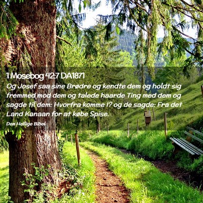 Picture 02 - 1 Mosebog 42:7 DA1871 - Og Josef saa sine Brødre og kendte dem og holdt - Bible Verse Picture