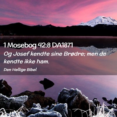 Picture 02 - 1 Mosebog 42:8 DA1871 - Og Josef kendte sine Brødre; men de kendte ikke - Bible Verse Picture