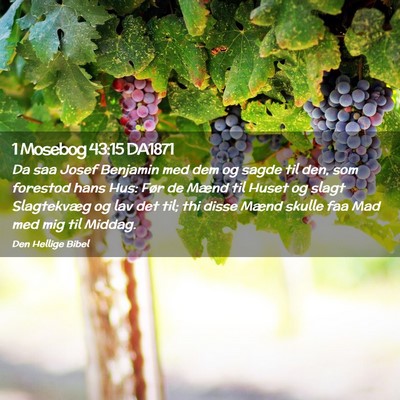 Picture 02 - 1 Mosebog 43:15 DA1871 - Da saa Josef Benjamin med dem og sagde til den, - Bible Verse Picture
