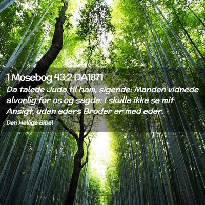 Picture 02 - 1 Mosebog 43:2 DA1871 - Da talede Juda til ham, sigende: Manden vidnede - Bible Verse Picture