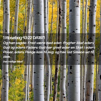Picture 02 - 1 Mosebog 43:22 DA1871 - Og han sagde: Fred være med eder, frygter ikke! - Bible Verse Picture