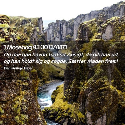 Picture 02 - 1 Mosebog 43:30 DA1871 - Og der han havde toet sit Ansigt, da gik han ud, - Bible Verse Picture