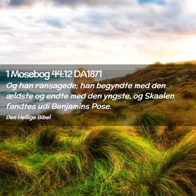 Picture 02 - 1 Mosebog 44:12 DA1871 - Og han ransagede; han begyndte med den ældste og - Bible Verse Picture