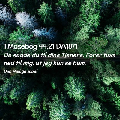 Picture 02 - 1 Mosebog 44:21 DA1871 - Da sagde du til dine Tjenere: Fører ham ned til - Bible Verse Picture
