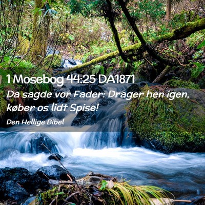 Picture 02 - 1 Mosebog 44:25 DA1871 - Da sagde vor Fader: Drager hen igen, køber os - Bible Verse Picture