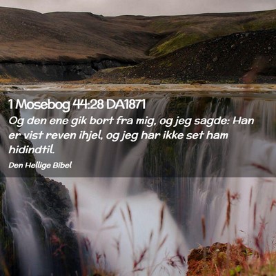 Picture 02 - 1 Mosebog 44:28 DA1871 - Og den ene gik bort fra mig, og jeg sagde: Han er - Bible Verse Picture