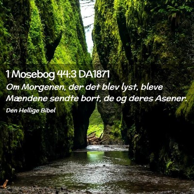 Picture 02 - 1 Mosebog 44:3 DA1871 - Om Morgenen, der det blev lyst, bleve Mændene - Bible Verse Picture