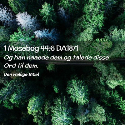 Picture 02 - 1 Mosebog 44:6 DA1871 - Og han naaede dem og talede disse Ord til - Bible Verse Picture