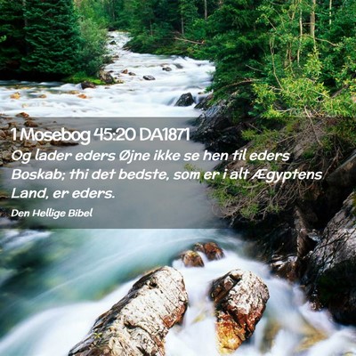 Picture 02 - 1 Mosebog 45:20 DA1871 - Og lader eders Øjne ikke se hen til eders - Bible Verse Picture