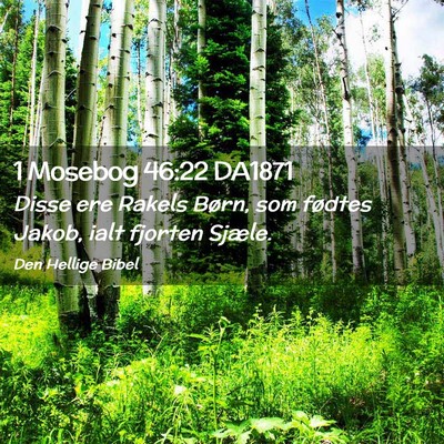 Picture 02 - 1 Mosebog 46:22 DA1871 - Disse ere Rakels Børn, som fødtes Jakob, ialt - Bible Verse Picture