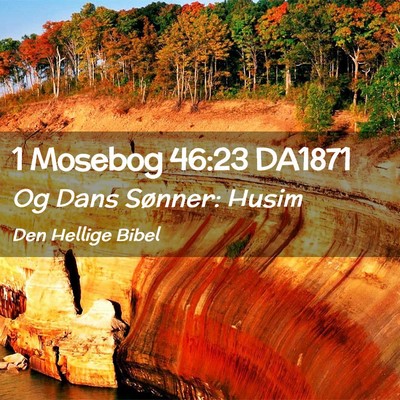 Picture 02 - 1 Mosebog 46:23 DA1871 - Og Dans Sønner: - Bible Verse Picture