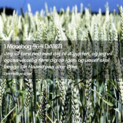 Picture 02 - 1 Mosebog 46:4 DA1871 - Jeg vil fare ned med dig til Ægypten, og jeg vil - Bible Verse Picture