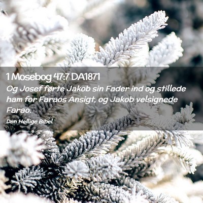 Picture 02 - 1 Mosebog 47:7 DA1871 - Og Josef førte Jakob sin Fader ind og stillede - Bible Verse Picture