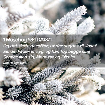 Picture 02 - 1 Mosebog 48:1 DA1871 - Og det skete derefter, at der sagdes til Josef: - Bible Verse Picture